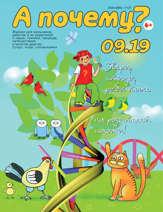 Обложка книги «А почему? №09/2019»