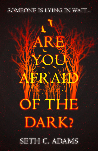 Seth C. Adams. Are You Afraid of the Dark?