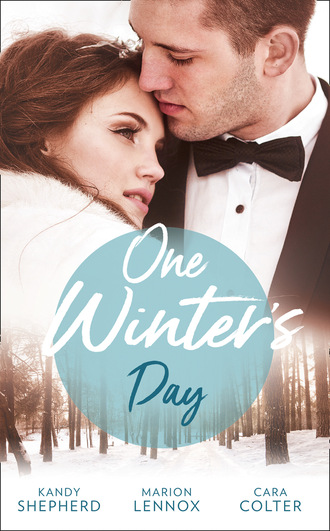 Kandy  Shepherd. One Winter's Day