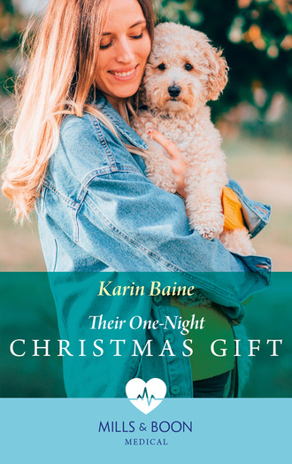 Karin Baine. Their One-Night Christmas Gift