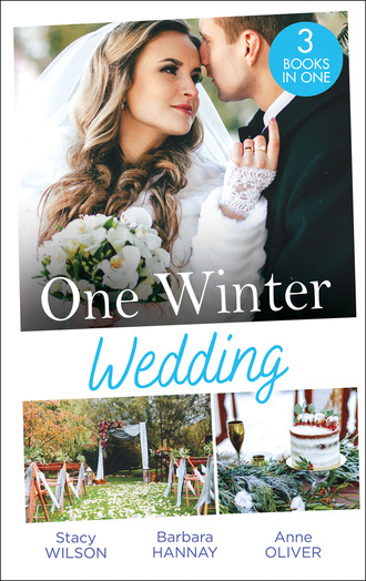 Barbara Hannay. One Winter Wedding