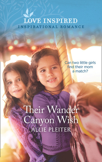 Allie Pleiter. Their Wander Canyon Wish