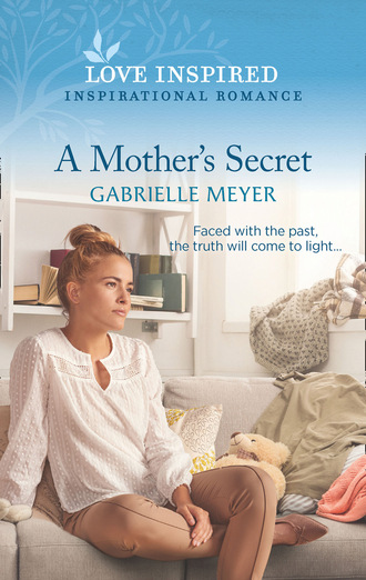 Gabrielle Meyer. A Mother's Secret