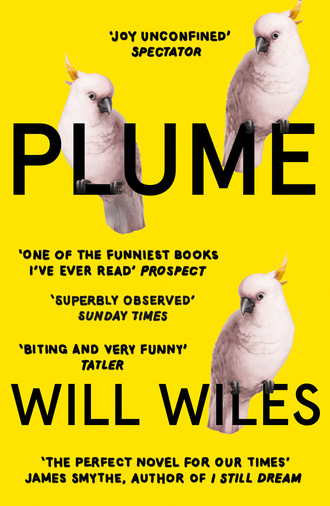 Will  Wiles. Plume