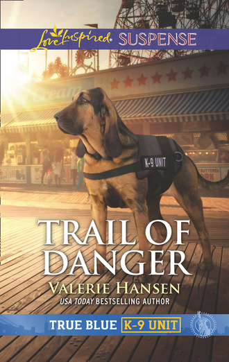 Valerie  Hansen. Trail Of Danger