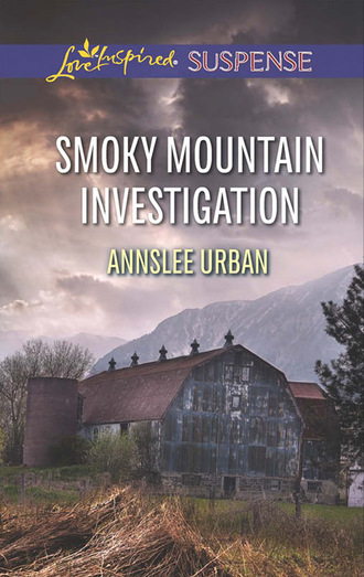 Annslee Urban. Smoky Mountain Investigation