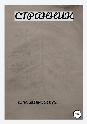 Обложка книги «Странник»