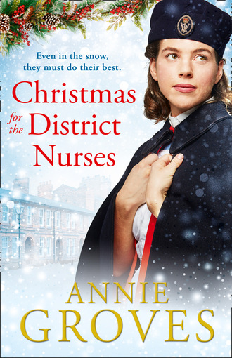 Annie Groves. The District Nurse