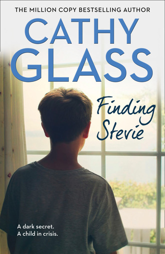 Cathy Glass. Finding Stevie