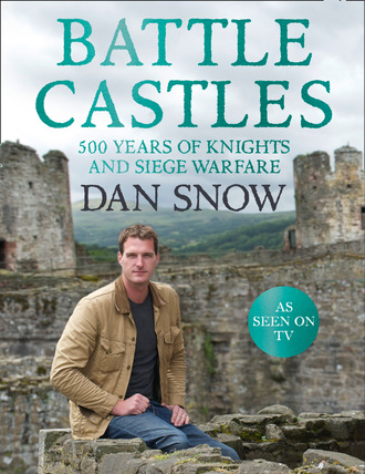 Dan Snow. Battle Castles