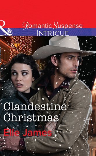 Elle James. Clandestine Christmas