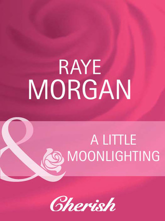 Raye Morgan. A Little Moonlighting