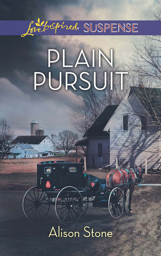 Alison  Stone. Plain Pursuit