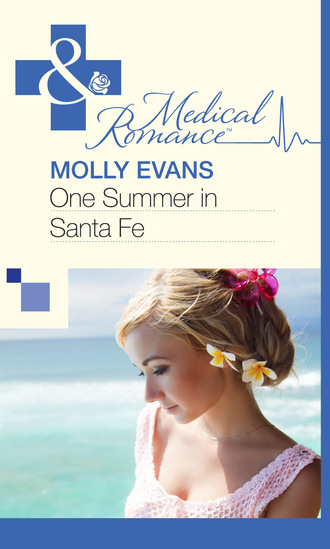 Molly Evans. One Summer In Santa Fe