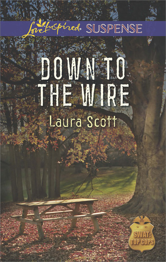 Laura Scott. Down to the Wire