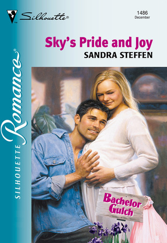 Sandra Steffen. Sky's Pride And Joy