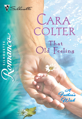 Cara Colter. That Old Feeling