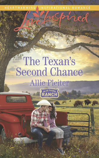 Allie Pleiter. The Texan's Second Chance