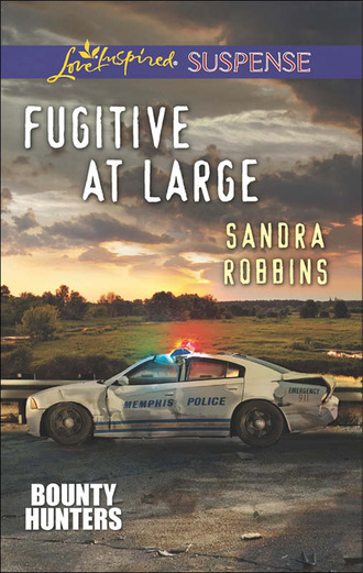 Sandra Robbins. Fugitive at Large