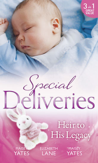 Elizabeth Lane. Special Deliveries: Heir To His Legacy