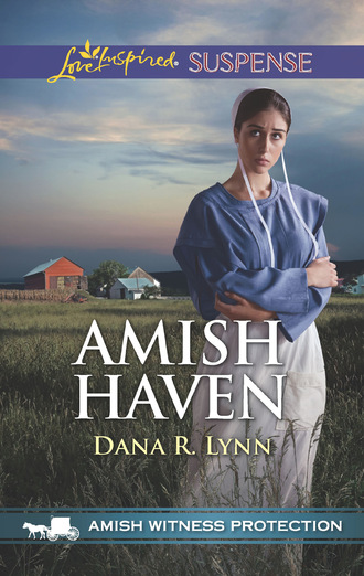 Dana R. Lynn. Amish Haven