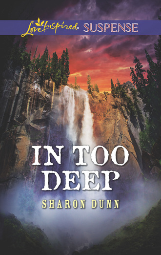 Sharon Dunn. In Too Deep