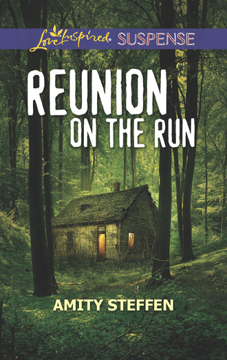 Amity Steffen. Reunion On The Run