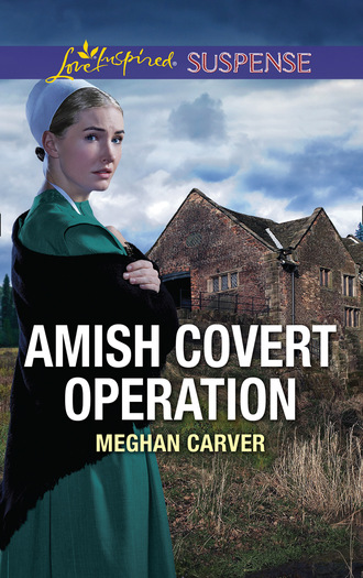 Meghan Carver. Amish Covert Operation