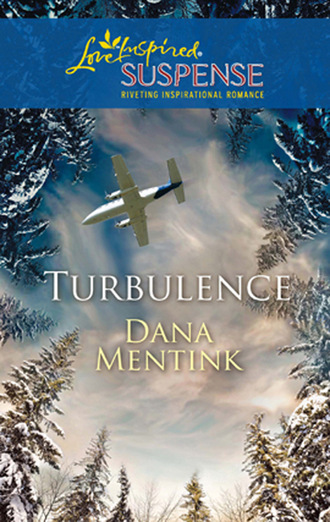 Dana Mentink. Turbulence