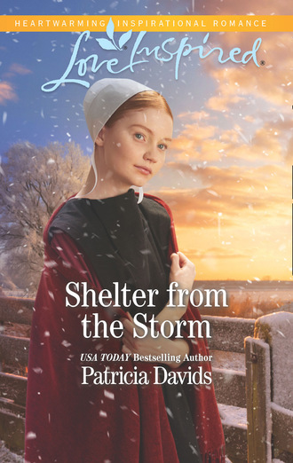 Patricia Davids. Shelter From The Storm