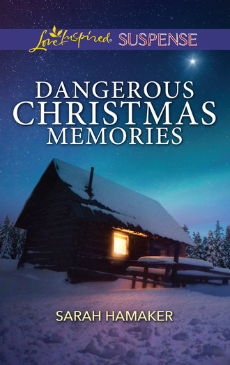 Sarah Hamaker. Dangerous Christmas Memories