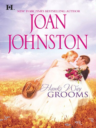 Joan  Johnston. Hawk's Way Grooms