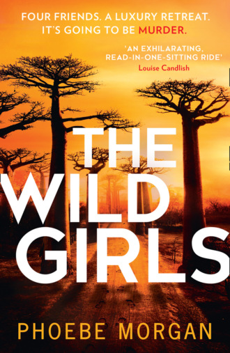 Phoebe Morgan. The Wild Girls