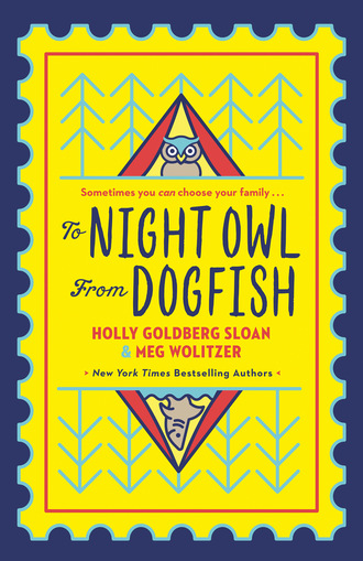 Meg Wolitzer. To Night Owl From Dogfish