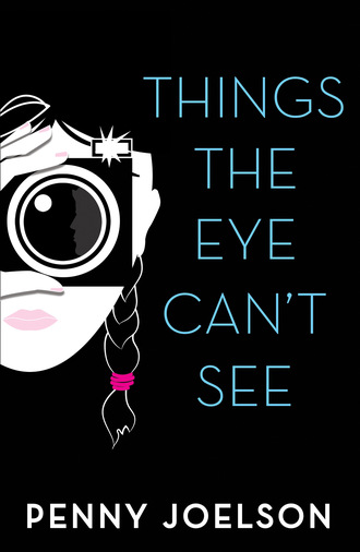 Penny Joelson. Things the Eye Can't See