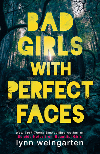 Lynn Weingarten. Bad Girls with Perfect Faces