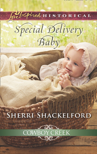 Sherri Shackelford. Special Delivery Baby