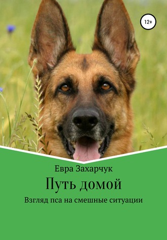 Обложка книги «Путь домой»