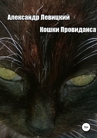 Обложка книги «Кошки Провиданса»