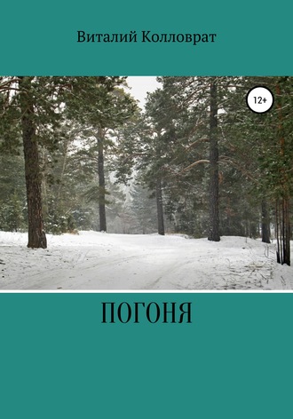 Обложка книги «Погоня»