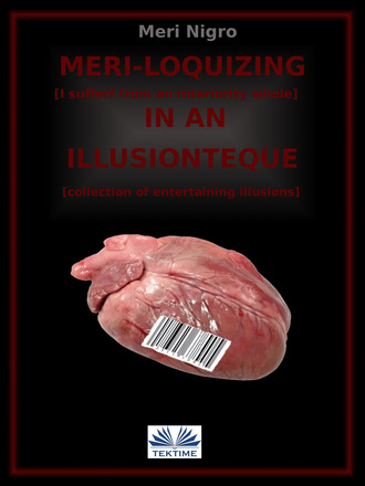Обложка книги «Meri-Loquizing In An Illusionteque»