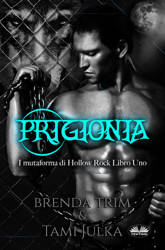 Обложка книги «Prigionia»