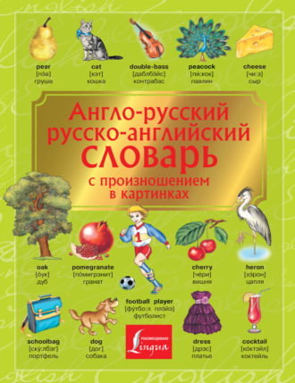 Обложка книги «Англо-русский. Русско-английский словарь с произношением в картинках»