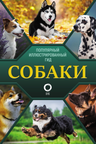 Обложка книги «Собаки. Популярный иллюстрированный гид»