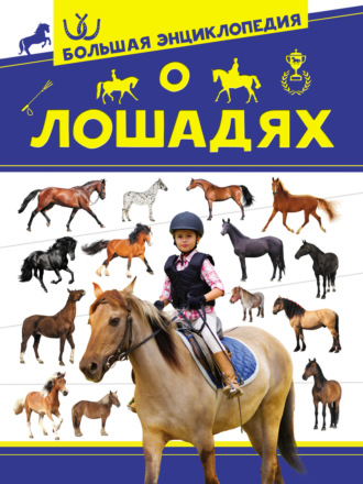 Обложка книги «Большая энциклопедия о лошадях»