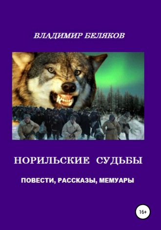 Владимир Васильевич Беляков. Норильские судьбы