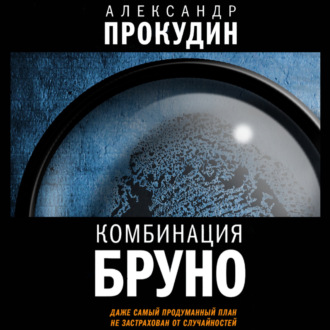 Обложка книги «Комбинация Бруно»