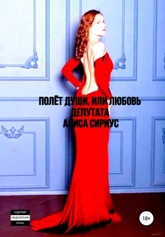 Обложка книги «Полет Души, или Любовь депутата»