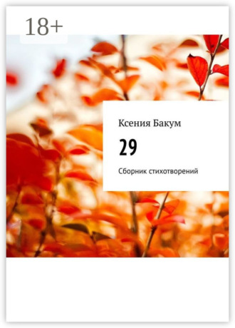 Обложка книги «29. Сборник стихотворений»