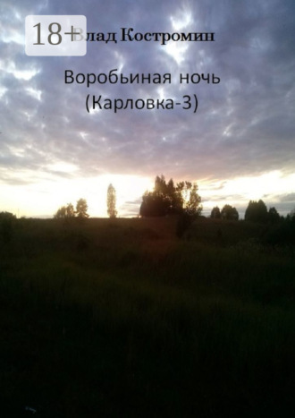 Обложка книги «Воробьиная ночь. Карловка-3»